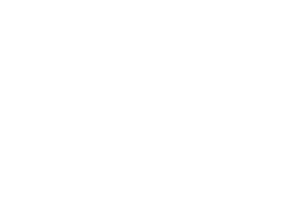 Silkway logo light